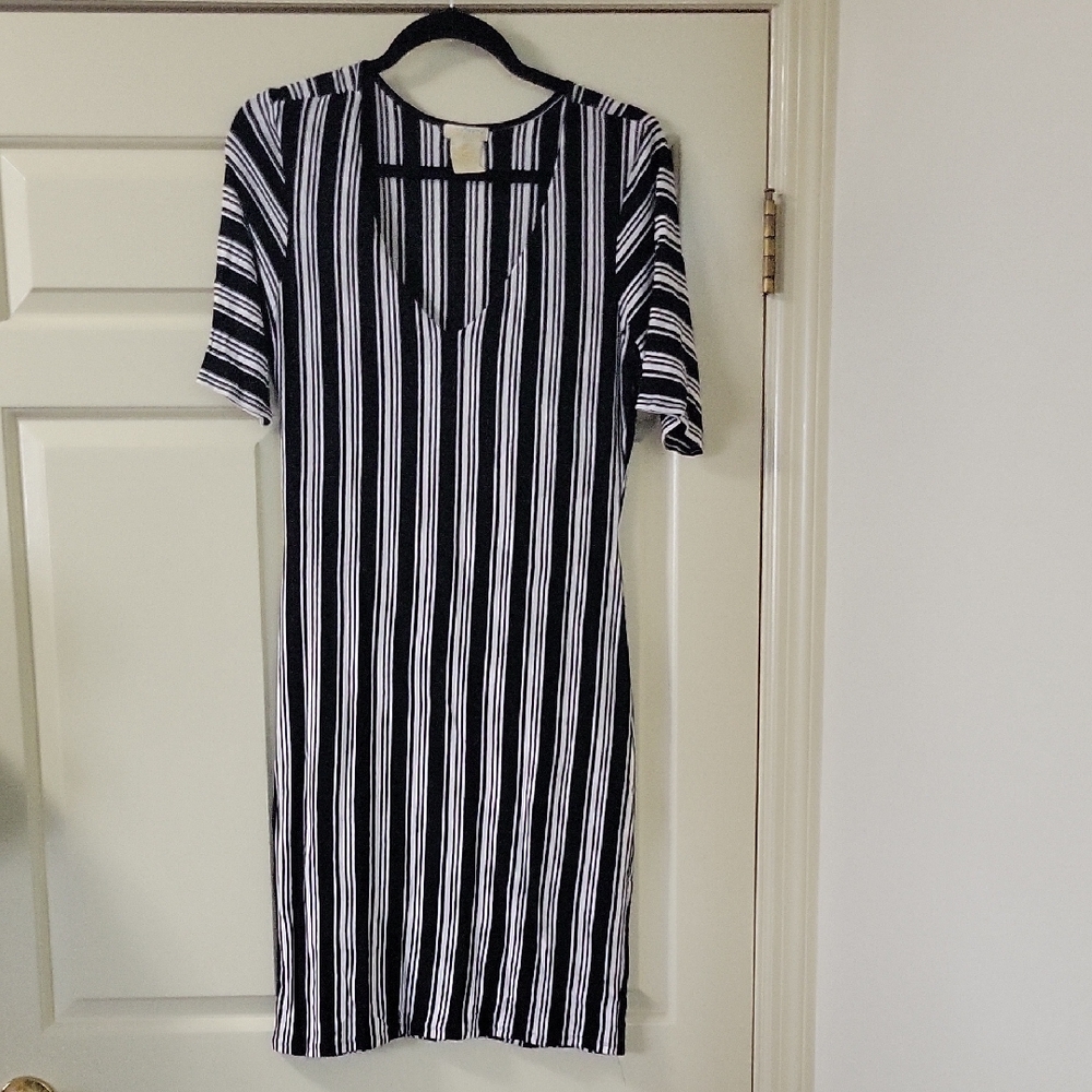 Blue and White Raglan Sleeve Sheath Dress